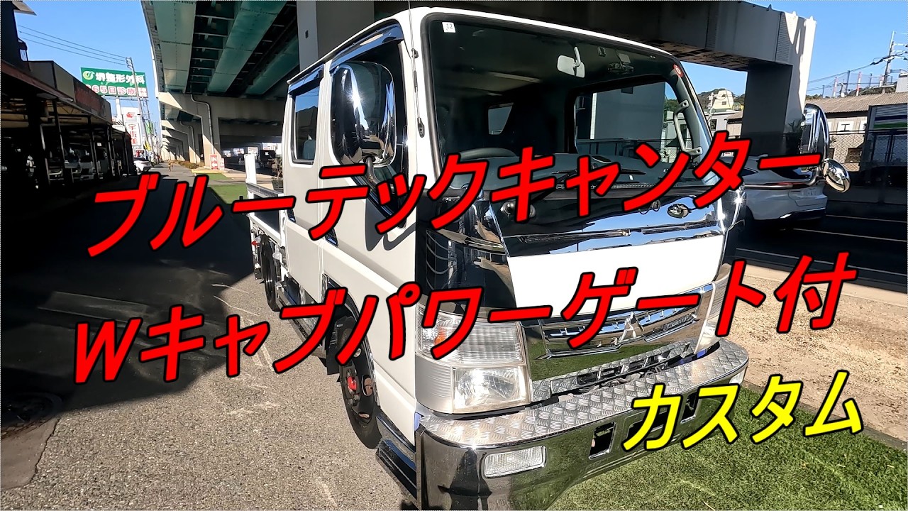 ブルーテックキャンター Wキャブ パワーゲート付 カスタム
