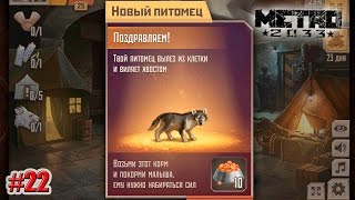 Метро 2033 Вконтакте КАК КУПИТЬ ВОЛЧОНКА? (200 ПОДАРКОВ) (22 серия) Метро 2033 Вконтакте КАК КУПИТЬ ВОЛЧОНКА? (200 ПОДАРКОВ) (22 серия)