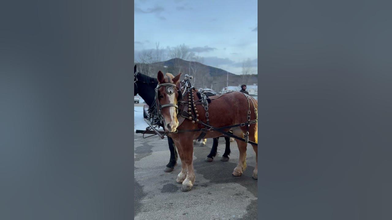 Jingle bell chocolate tour in cute little town Jackson, New Hampshire