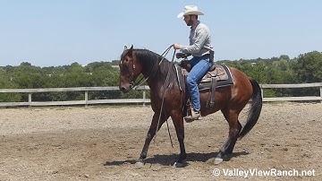 Nuclear Smart - mount, jog, lope-off, stops, dismount! - ValleyViewRanch.net