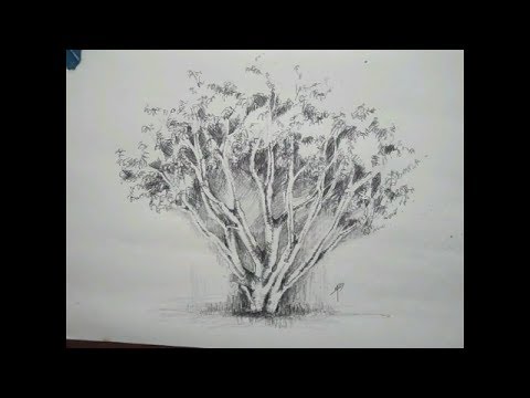 How to draw a Tree - Pencil Art - YouTube