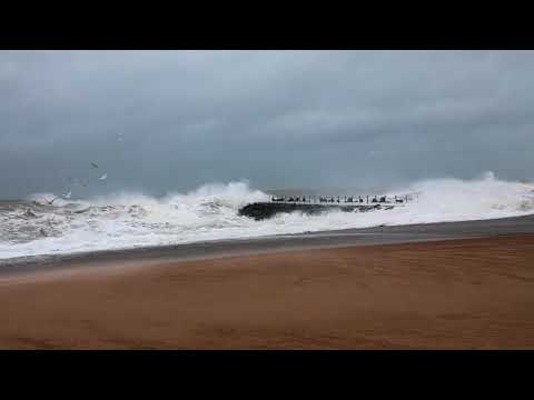 Video: Kystbølge