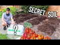 Simple secret soil fix to grow juicy and productive vegetables