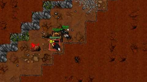 Botter on Solera, Bloodang 1 Okumi