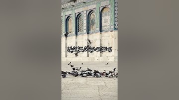 أجمل وأفضل حالات واتس اب دينيه 🖤 قرآن كريم بصوت القارئ : نايف الفيصل || 🌘😴 ( مقاطع قرآن )😴