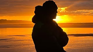 Un Chien Perdu Dans La Savane (Iphone)