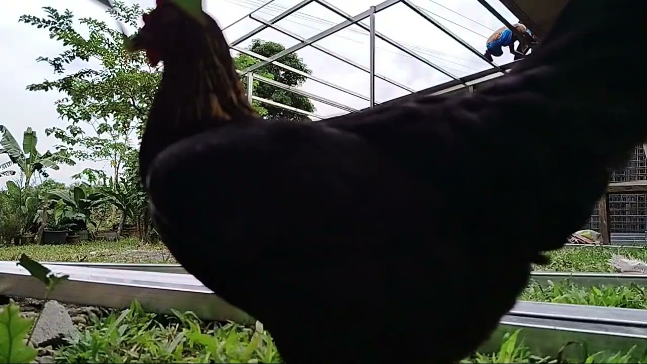 Ayan mga kababayan. May bubong na. #pugongbyahero #Pbteamdavao#junjunTV #SUBSCRIBERS 