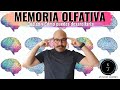 Como Desarrollar La Memoria Olfativa #MSJtip