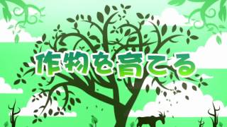 ロリポップ あいらんど プロモーション動画 Youtube ロリポップ あいらんど プロモーション動画 Youtube