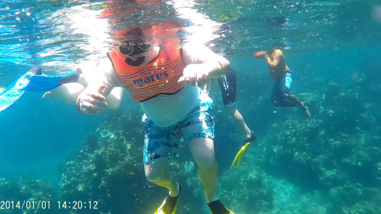 Snorkeling at Roatan Video 6 YouTube