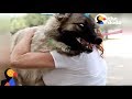 EXCITED Dog Reunites With Mom After Hurricane Harvey  | The Dodo