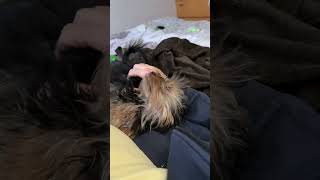 699.Dad Hid Something...