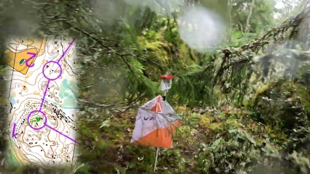 Metsäsprintti Sauvossa 26.10.2025. D 55, 2,0 km