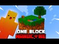 Minecraft one block skyblock pero es hardcore