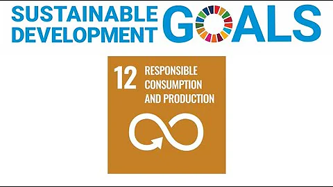 What does SDG 12 (responsible consumption and production) mean for reuse, repair and recycling?