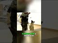 Perro Detector: ¡Así la Policía Descubre Contrabando! #shorts