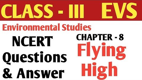 CLASS - 3 | EVS CHAPTER-8 flying high | CBSE |Environmental studies| Questions & Answer in Hindi