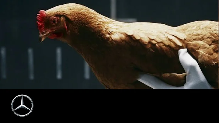 Mercedes-Benz “Chicken” MAGIC BODY CONTROL TV commercial - DayDayNews