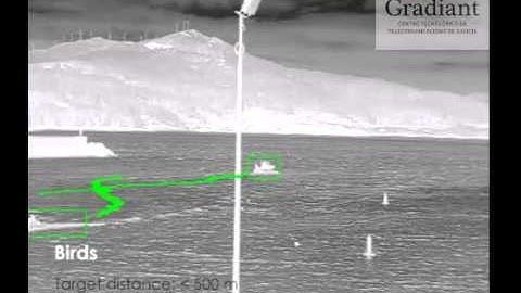 Gradiant Video Analytics - Birds