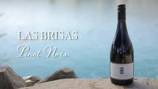 Las Brisas Pinot Noir | Valle de Leyda