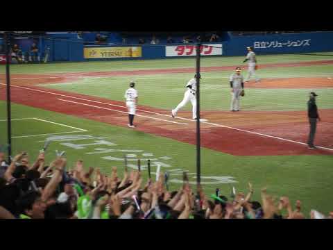 【村上宗隆 31号 ライト2ランホームラン(打点2)】2023/9/23(土) 村上宗隆 ライト2ランホームラン(打点2)打席(4回裏) vs 大竹耕太郎(阪神タイガース)