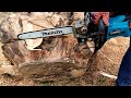 Cutting Apple log and Walnut root with electric Chainsaw
