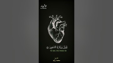 ماتيسر من سورة الأنبياء بخشوووع😌🥺 القارئ محمد زايد حاولا الاتبكي🥺❤️