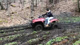 Suzuki Eiger 400 4x4