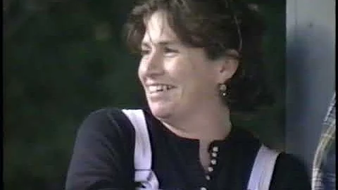 Heron 1996