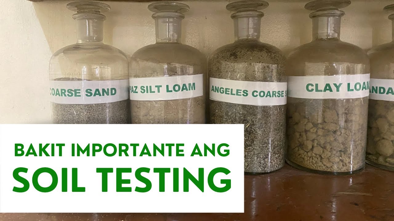 BAKIT MAHALAGA ANG SOIL TESTING? | Carlo The Farmer
