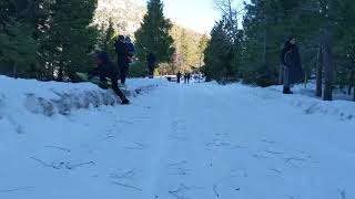 sledding POV