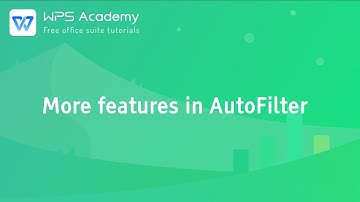 [WPS Academy] 2.5.5 Excel: More features in AutoFilter