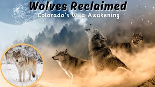 Return of the Wolves: Colorado's Ecological Revival