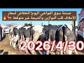 صدمة سوق المواشي اليوم انخفاض أسعار الأعلاف قلب الموازين والنتيجة غير متوقعة 