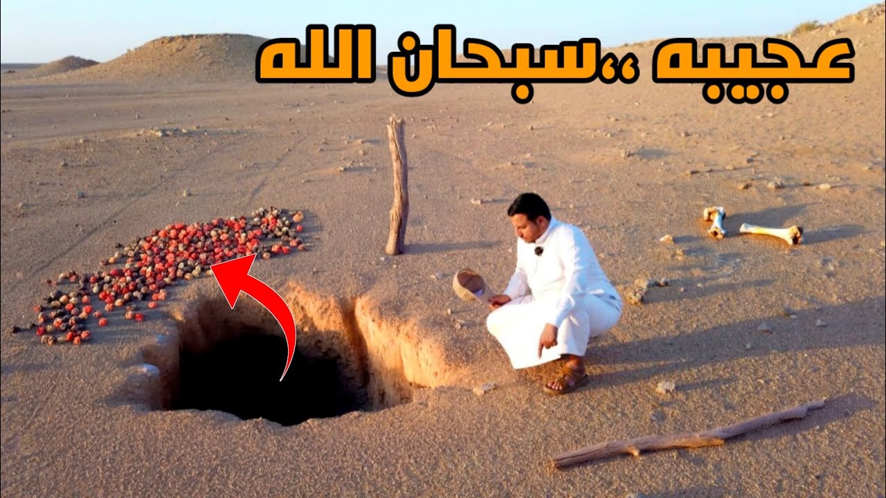 نباتات صحراوية تنشر بذورها بطرق عجيبه 