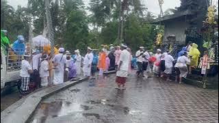 Ngerejang Nyambut Sesuhunan #welcome #rejang #traditional #balineseart #dance #relics