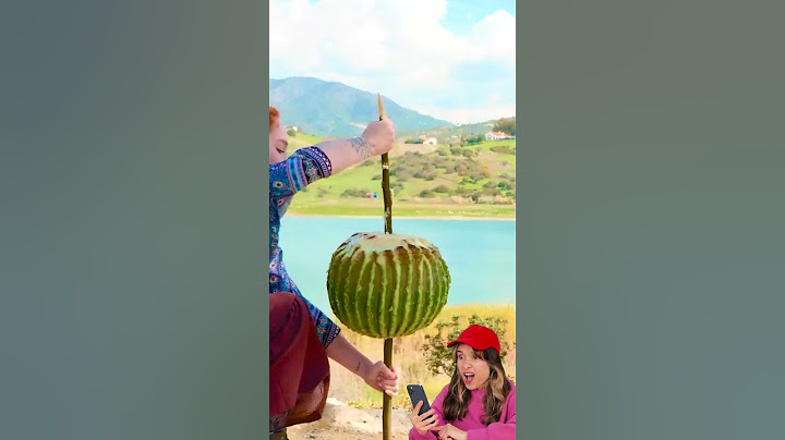Cactus Cuisine: A Spiky Culinary Adventure! 🌵✨