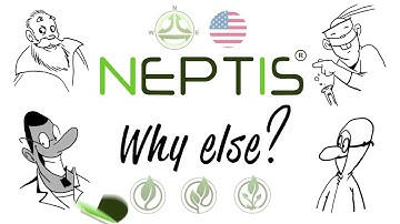 NEPTIS Synthesizer: introduction