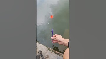 cách làm phao câu cá - hướng dẫn làm phao lục