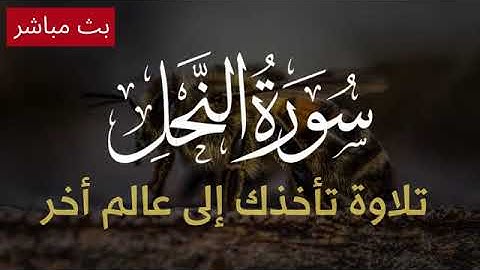 سورة النحل| تلاوة هادئة