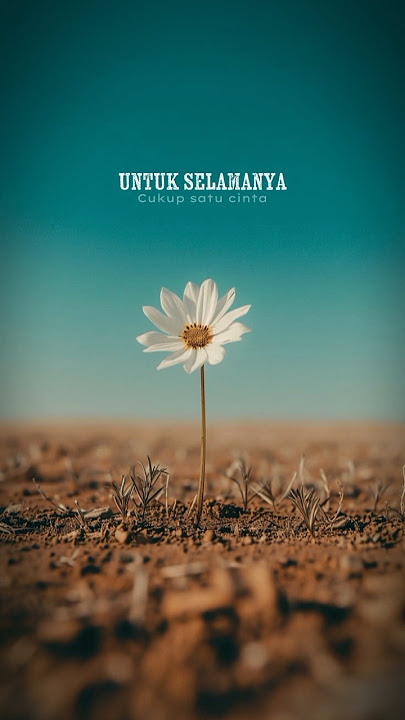 Cukup satu cinta #akutakmemintahartadantahta #cukupsatucintauntukselamanya #liriklagu #overlay