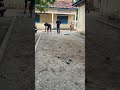 pétanque intéressante #3 | interesting pétanque #pétanque #petanque2022 #petanque2023