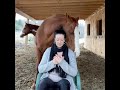 Meditation with Horses