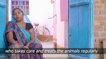 HCL Samuday Dairy Intervention: A journey of growth!