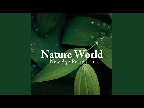 Ver Healing Massage Music 2 (Spas Background) en YouTube