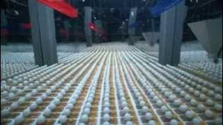 Ulimate Chain Reaction created by 2014 mousetraps and 2015 Ping pong balls