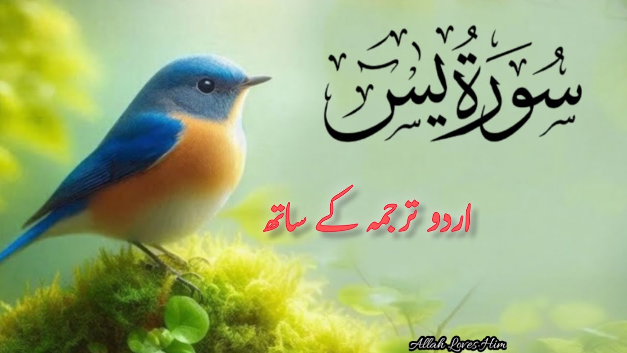 Surah Rahman Urdu Tarjuma k Sath🌿 | Qari Al Sheikh Abdul Basit Abdul Samad | Allah Loves Him