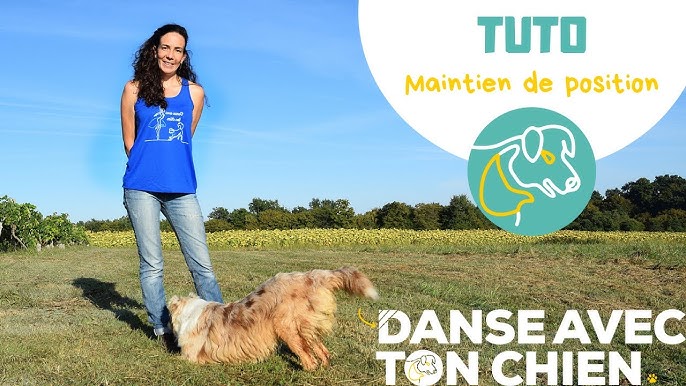 3 exercices surprenants qui transforment votre chien