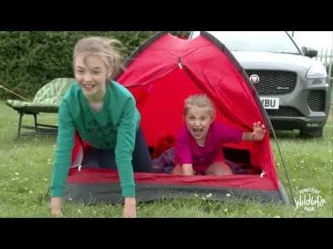 Roar & Snore Camping at Yorkshire Wildlife Park