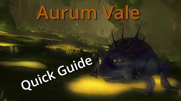 Aurum Vale Quick Guide (2020) - FFXIV